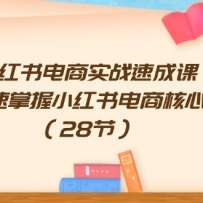 СʵսٳɿΣС̺ļܣ28ڣ