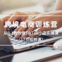 羳ѵӪ0-1TikTokСʵٿΣ17ƵΣ