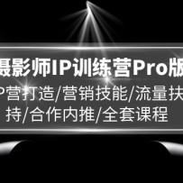 ӰʦIPѵӪPro棬IPӪ/Ӫ///ȫ׿γ