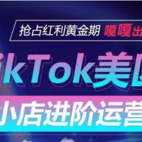 TikTok ShopСӪո淨ռƽڣ