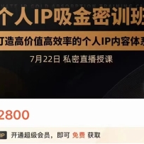 IPѵ࣬߼ֵЧʵĸIPϵֵ12800Ԫ