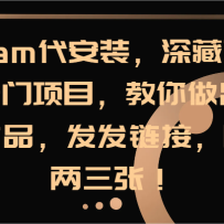 steamװز©ĿƷӣ