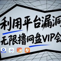 ƽ̨©ߣVIPԱûײЧ©ԭ+ʾ