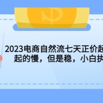 2023ȻʵսΣȣСִм