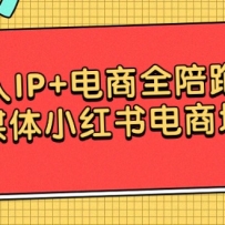 IP+ȫӪýСѵ