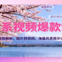 ϵƵ700򲥷ͼƬתƵ羰ʾʣ