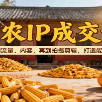 ũIPɽΣӶλݣٵֵܱIP