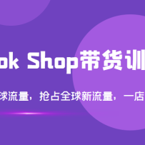 TikTok ShopѵӪȫռȫһȫ򣨵14