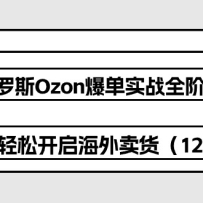 ˹OzonʵսȫϵΣɿ12ڿΣ