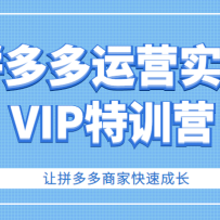 ƴӪʵVIPѵӪƴ̼ҿٳɳֵ3180Ԫ