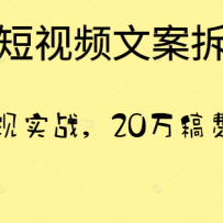 21ƵİӪǿʵս20ѵã