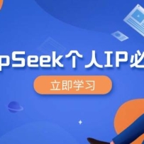 DeepSeekIP޿ΣIPѱ˿ɷŴӪܷٱ