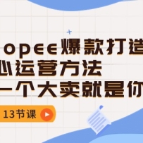 ShopeeӪһ㣨13ڿΣ