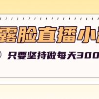 ¶ֱСϷĿ淨ֻҪʵÿ300+