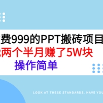 շ999PPTשĿʵս׬5W飬򵥣