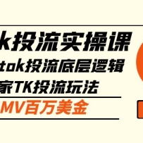 tiktokͶʵٿΣtiktokͶײ߼+TKͶ淨 GMV