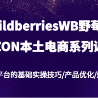 wildberriesWBҰݮ/OZONϵпΣ˹ƽ̨Ļʵټ/Ʒ