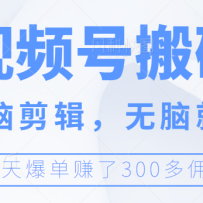 Ƶ԰שԼԾܸɣ챬׬300+Ӷ