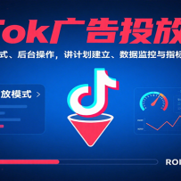 TikTokͶʵսͶģʽ̨ƻݼָ