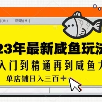 2023ʵսΣŵͨٵУ300+£