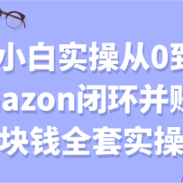 Сʵٴ01ͨamazonջ׬һǮȫʵ