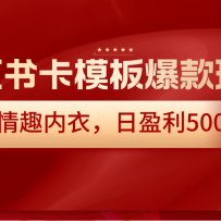 С鿨ģ屬淨Ȥ£ӯ500+