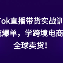 TikTokֱʵսѵӪѧ羳̣ȫ