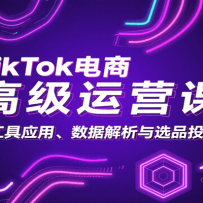 TikTok̸߼ӪΣAIӦáݽѡƷͶ