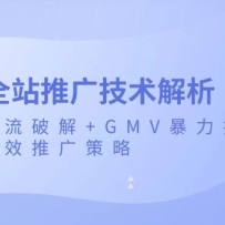 ȫվƹ㼼ٶƽ+GMVЧƹ
