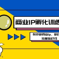 ҵIPѵӪ°棬ҵIp裬Ǯ