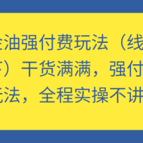 ǿ淨+£ɻǿǿ淨ȫʵٲ