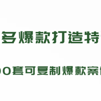 ƴ౬ѵӪ199Ԫ*100׿ɸƱ)