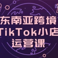 ǿ羳TikTokСӪΣյתļ