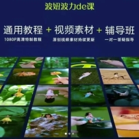 椲Ƶͨý̳+Ƶز+
