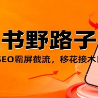 СҰ·+SEOƻľջ100+