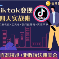 tiktokʵս࣬+淨׬𣡼ֵ998Ԫ