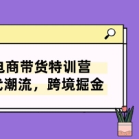 TikTok̴ѵӪʱ羳8ڿΣ
