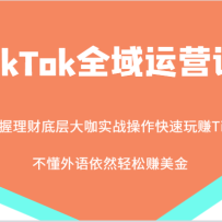 TikTokȫӪΣʵս׬TikTokȻ׬