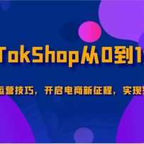 TikTokShop01ףƽ̨Ӫɣ̣ʵͻɳ