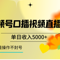 ƵſڲƵֱ淨5000+һֿԵų淨