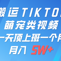 һTIKTOKȳƵһֻɲƽ̨ɷ 5
