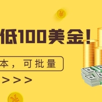 100ɱСԲɸƣ