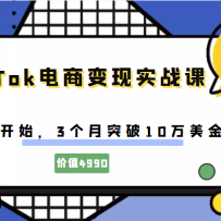 TIkToḵʵսΣ㿪ʼ3ͻ10루ֵ4980Ԫ