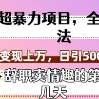 Ŀȫ淨ְȤĵڼ죩500+