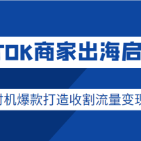 TIKTOK̼ҳӪʱո