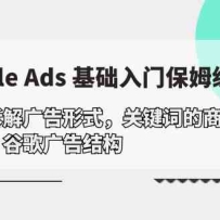 Google Ads ţϵͳʽ/ؼʵҵ֪/ȸṹ