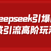 Deepseek߽ͬ淨նƵ˼ʵָЧת