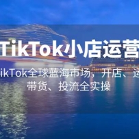 TikTokСӪ ռTikTokȫгꡢӪͶȫʵ