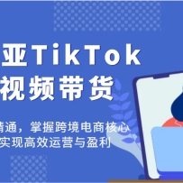 TikTokƵͨտ羳̺ļܣʵָЧ