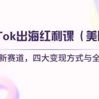 TikTokΣ羳Ĵַʽȫ̽